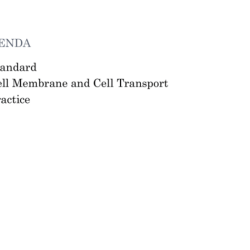 Worksheet answer key membrane cell cells alive coloring functions composition plasma studylib chessmuseum