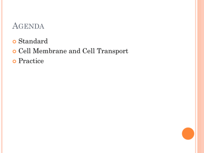 Worksheet answer key membrane cell cells alive coloring functions composition plasma studylib chessmuseum