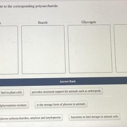 Assign each statement to the corresponding polysaccharide