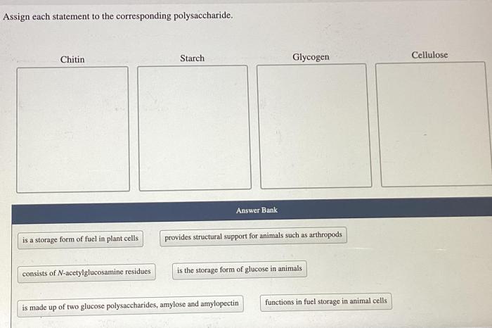 Assign each statement to the corresponding polysaccharide