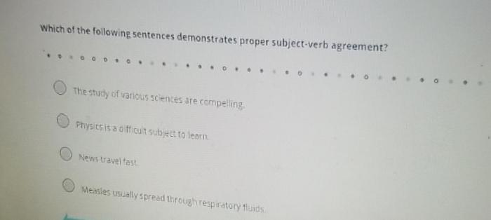 Which of the following sentences demonstrates proper subject verb agreement