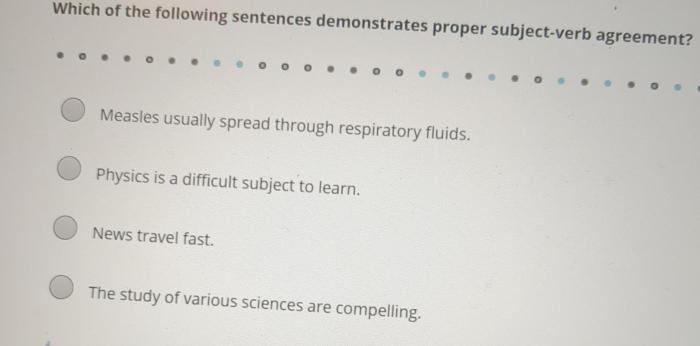 Which of the following sentences demonstrates proper subject verb agreement