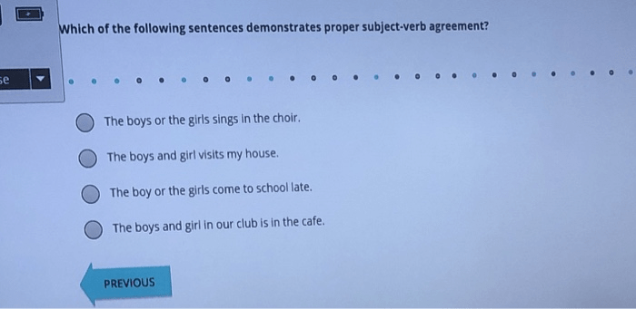 Verb subject agreement sentence episode final look